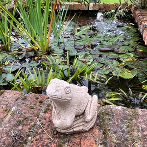 May include: A white concrete frog statue sitting on a brick wall next to a pond with lily pads and green plants.
