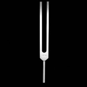May include: A silver tuning fork with the inscription "4096 Hz" on the base.