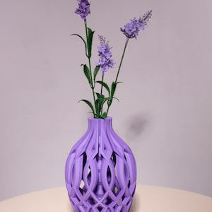Vase View