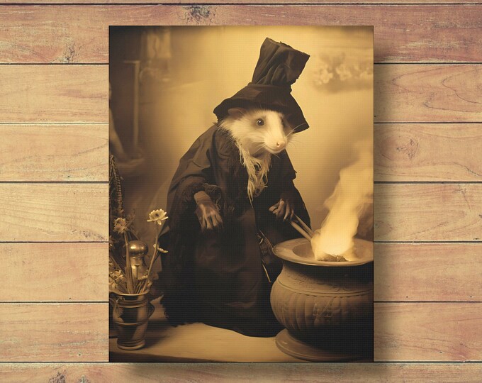 Witchy Possum Portrait, Victorian Animal Art Canvas Print