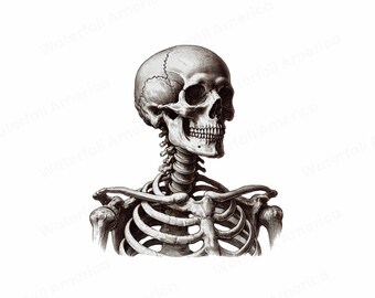 Retro Skeleton Art Print, Halloween Home Decor (Digital Download)
