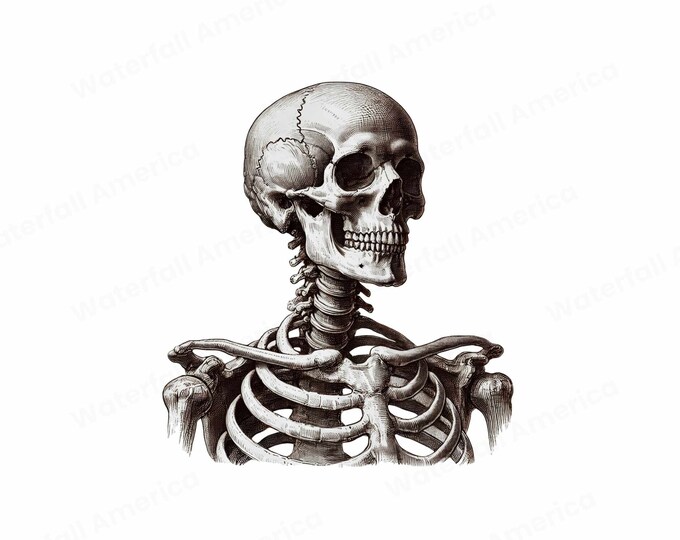 Retro Skeleton Art Print, Halloween Home Decor (Digital Download)
