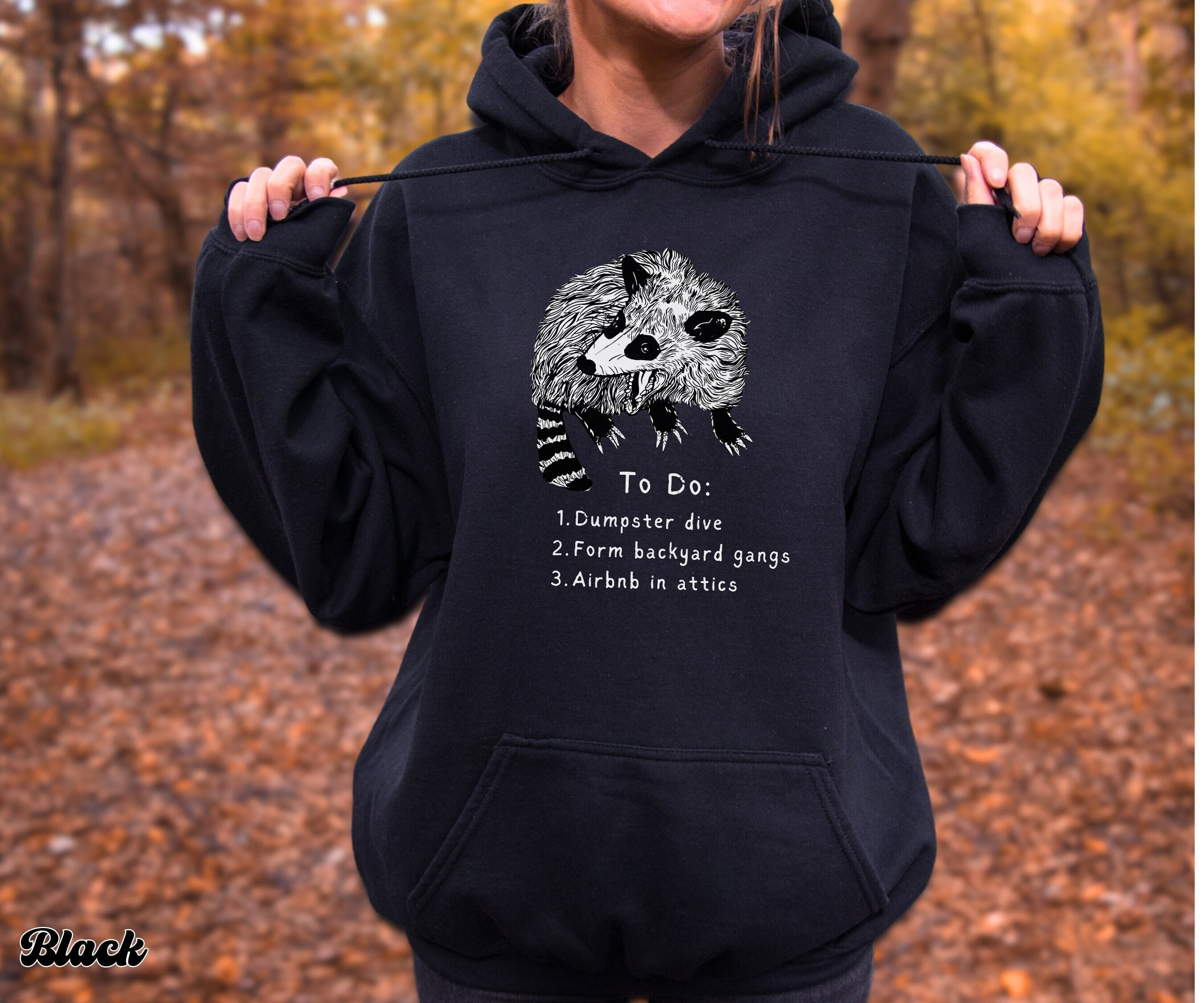 Raccoon to Do List Hoodie, Raccoon Hoodie, Animal Lover Shirt