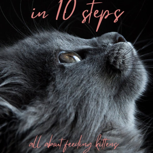 kitten, kitten feeding, e-book, about all pets, digital dowland, pdf