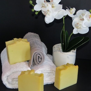 Hemp Soap Bar | Face + Body |Pure Raw | Vegan | Fragrance Free | Sensitive Skin