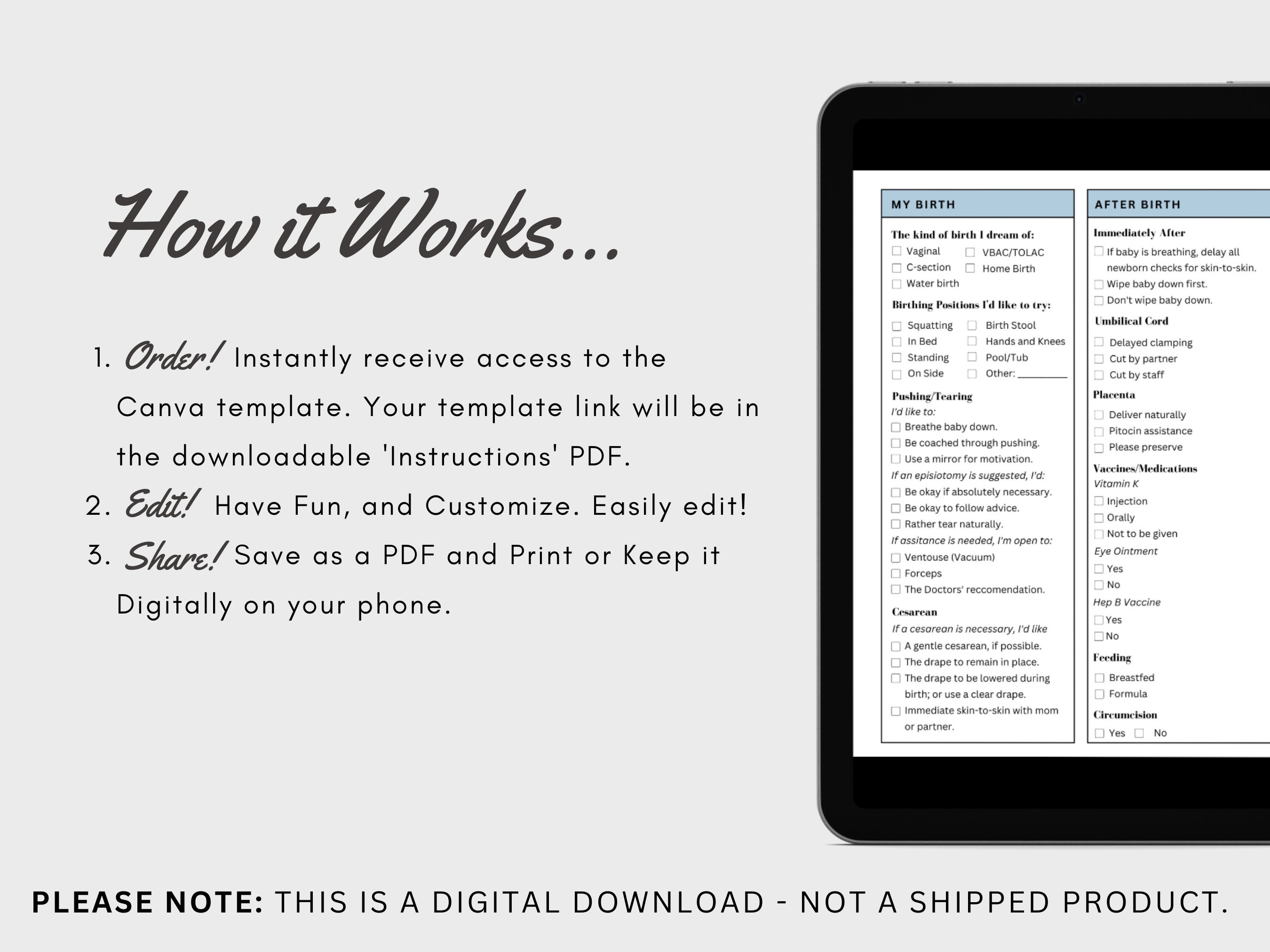 Printable Birthing Plan, Visual Birth Planner, Natural Birth Plan