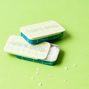 Blau / Beige / Limette Taschensalz - Flakey Salz Mini Reisedose (2er-Pack) Verbessern Sie jeden Geschmack unterwegs