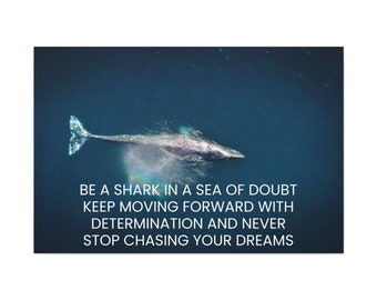 Chase your Dreams be a Shark