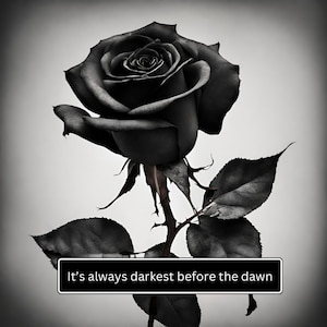 Black Rose