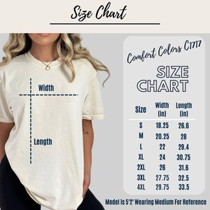 Silly Goose Nurse Shirt, Sorry I'm Late I Was Nurse Goose Shirt, Funny Goose Nurse Shirt, Nurse Humor Gift, Registered Nurse Comfort Colors image 3