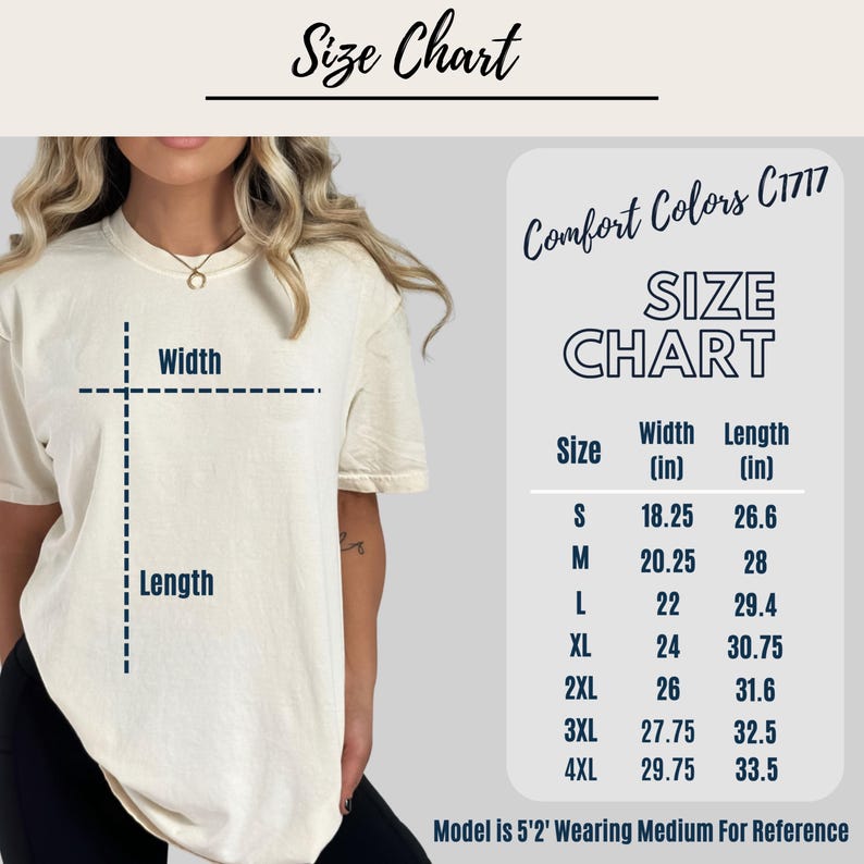 Silly Goose Nurse Shirt, Sorry I'm Late I Was Nurse Goose Shirt, Funny Goose Nurse Shirt, Nurse Humor Gift, Registered Nurse Comfort Colors image 3