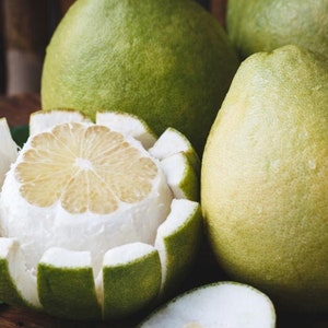 May include: Close-up of a green pomelo fruit, with one half peeled and segmented, revealing the white flesh and yellow pith. The fruit is on a wooden surface.