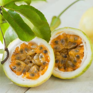 yellow passion fruit plants  2ft vine to 3ft. No ship to Ca.