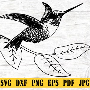 Hummingbird SVG, Hummingbird Cut File, Hummingbird DXF, Hummingbird PNG, Hummingbird Clipart, Hummingbird Silhouette, Hummingbird Cricut