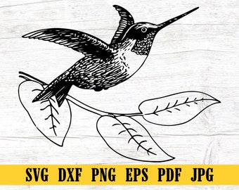 Kolibri SVG, Kolibri geschnitten Datei, Kolibri DXF, Kolibri PNG, Kolibri Clipart, Kolibri Silhouette, Kolibri Cricut