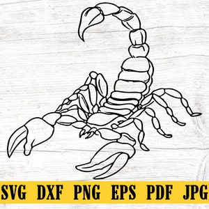 Scorpion Svg,Scorpion Clipart,animal svg,Scorpion Svg Cutting File for Cricut, Silhouette,Instant Download,Animal pdf,Scorpion png,dxf