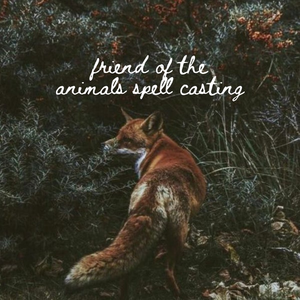 Friend of the Animals Spell Casting by an Experienced White Magick Witch with 20+ Years of Practice Talk To Animals