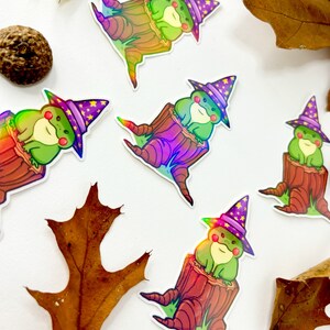 Wizard Frog - Rainbow Holographic Vinyl Sticker - Etsy