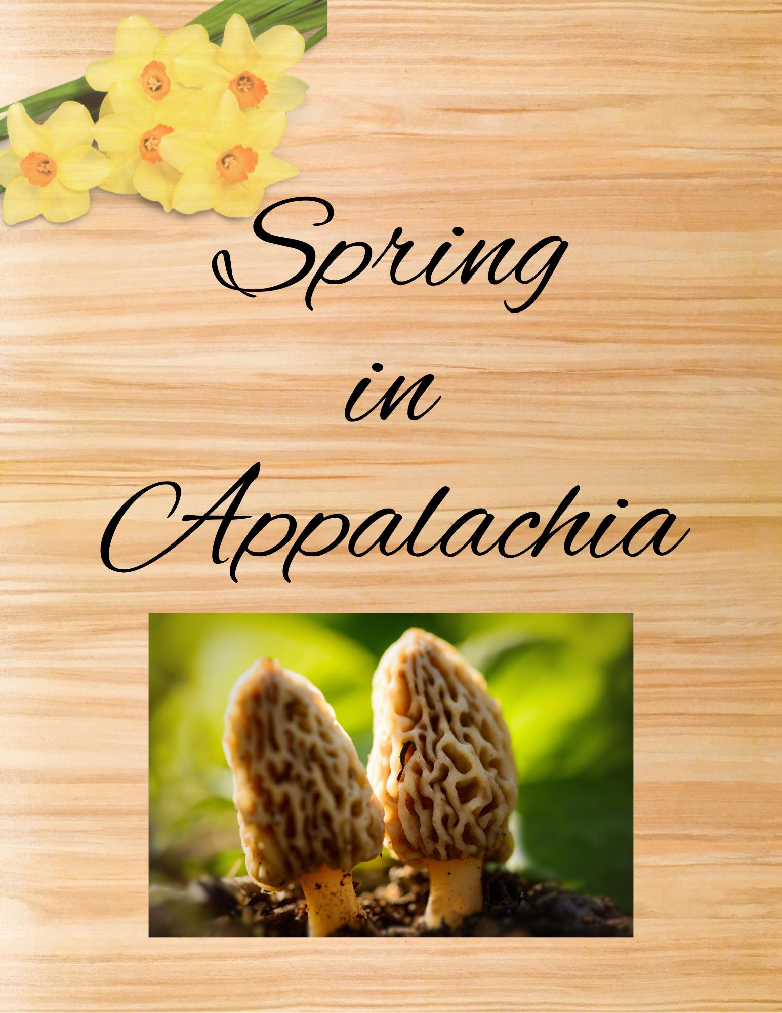 Appalachia Spring Word Search | Mountain Puzzle Game (instant Download ...