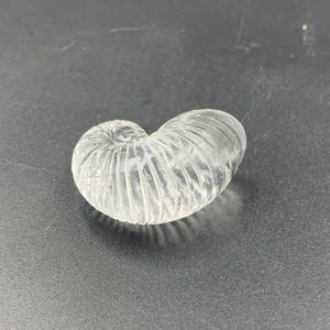 Puede incluir: Una escultura de vidrio transparente con forma de concha de nautilus. La concha tiene una textura acanalada y descansa sobre una superficie oscura. La escultura es un objeto decorativo.
