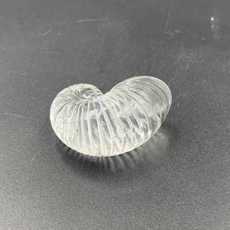 Puede incluir: Una escultura de vidrio transparente con forma de concha de nautilus. La concha tiene una textura acanalada y descansa sobre una superficie oscura. La escultura es un objeto decorativo.