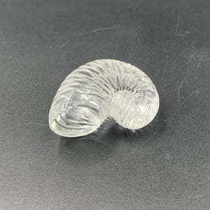 Puede incluir: Un objeto transparente de vidrio en forma de concha de nautilus. La concha tiene un dise&ntilde;o en espiral con detalles acanalados. El objeto est&aacute; sobre una superficie oscura. El objeto es decorativo.