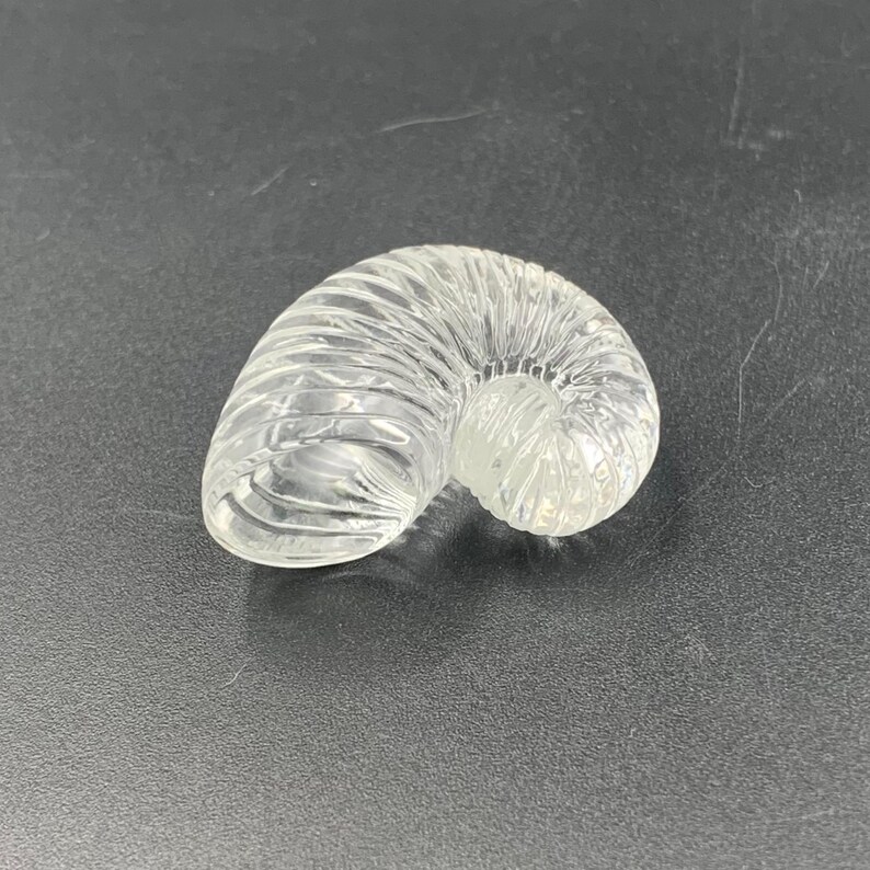 Puede incluir: Un objeto transparente de vidrio en forma de concha de nautilus. La concha tiene un dise&ntilde;o en espiral con detalles acanalados. El objeto est&aacute; sobre una superficie oscura. El objeto es decorativo.