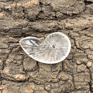 Quartz Crystal Sea Shell Carving: Gemstone Jewelry Making (17x30x7mm)