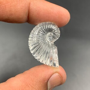 Puede incluir: Una gema clara y tallada en forma de espiral, que se asemeja a una concha de nautilus. La gema se sostiene entre dos dedos sobre un fondo gris. El tallado presenta crestas detalladas y una superficie pulida.