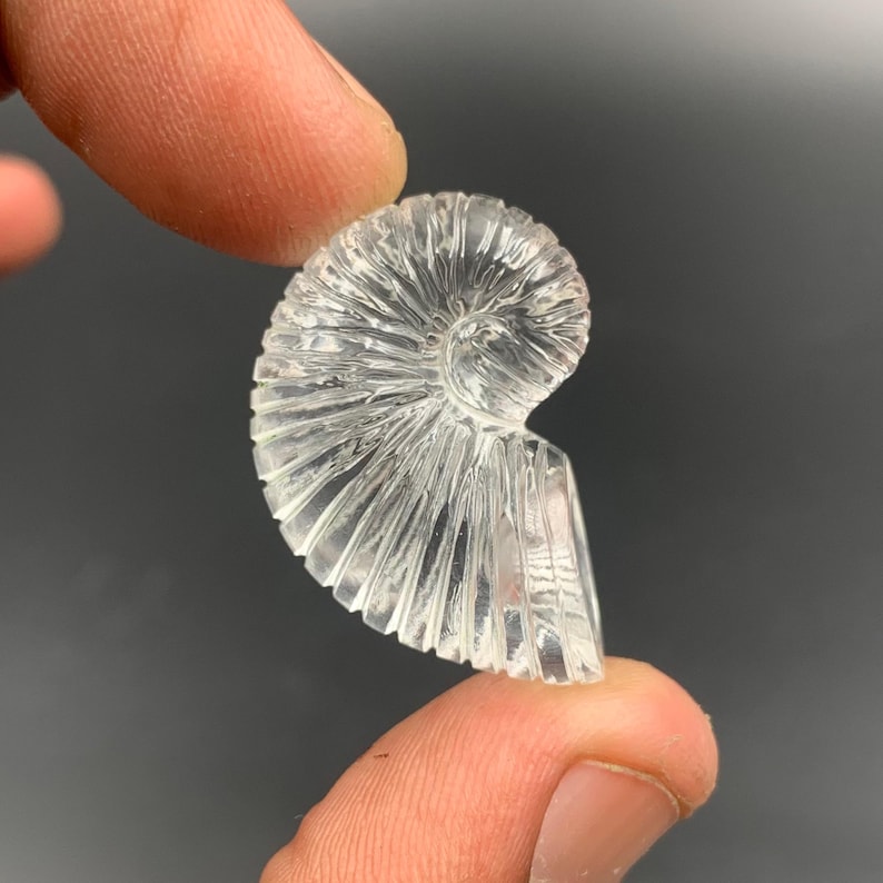 Puede incluir: Un f&oacute;sil de amonita de cristal tallado y transparente sostenido entre dos dedos. El f&oacute;sil tiene forma de espiral con crestas detalladas, y el cristal es transl&uacute;cido. El fondo es gris oscuro.