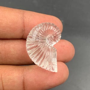 Puede incluir: Una gema clara tallada en forma de concha de nautilus. La gema se sostiene entre dos dedos y tiene un dise&ntilde;o en espiral con crestas detalladas. La concha es transl&uacute;cida y parece estar hecha de cuarzo o un material similar.