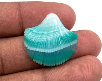 Laguna Agate Sea Shell Carving: Gemstone Jewelry Pendant (24x24x6mm