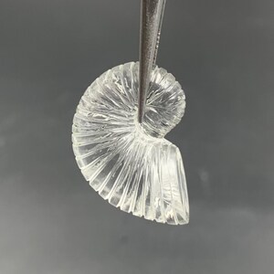 Puede incluir: Una gema clara y tallada, sujeta con pinzas. La gema tiene forma de espiral, con crestas detalladas y una superficie pulida. La luz se refracta a trav&eacute;s del material transparente, creando un efecto brillante.