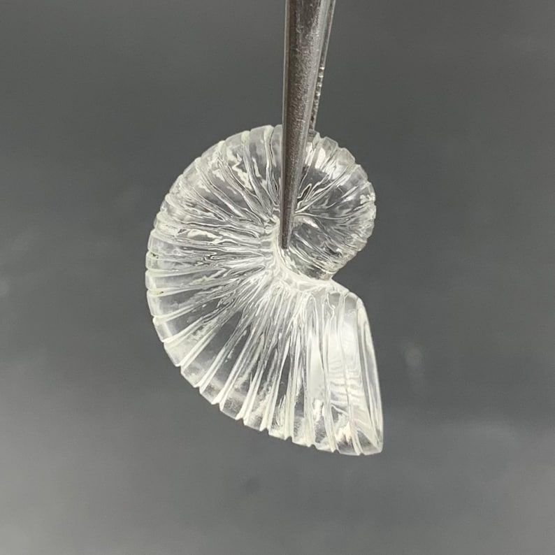 Puede incluir: Una gema clara y tallada, sujeta con pinzas. La gema tiene forma de espiral, con crestas detalladas y una superficie pulida. La luz se refracta a trav&eacute;s del material transparente, creando un efecto brillante.