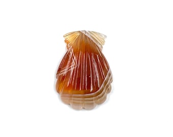 Laguna Agate Sea Shell Carving: Gemstone Jewelry Pendant (26x19x6mm)