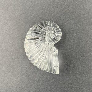 Puede incluir: Una concha de nautilus de vidrio transparente tallada. La concha tiene forma de espiral con crestas detalladas y una superficie lisa y pulida. El objeto est&aacute; sobre un fondo gris.