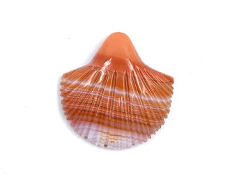 Laguna Agate Sea Shell Carving: Handmade Gemstone Pendant (24x23x6mm)