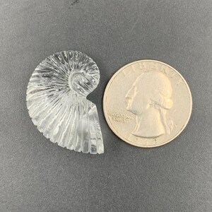 Puede incluir: Un f&oacute;sil de amonita de cristal tallado y transparente junto a una moneda de veinticinco centavos estadounidense. El f&oacute;sil tiene forma de espiral con crestas detalladas. La moneda muestra el perfil de George Washington y las palabras "In God We Trust".