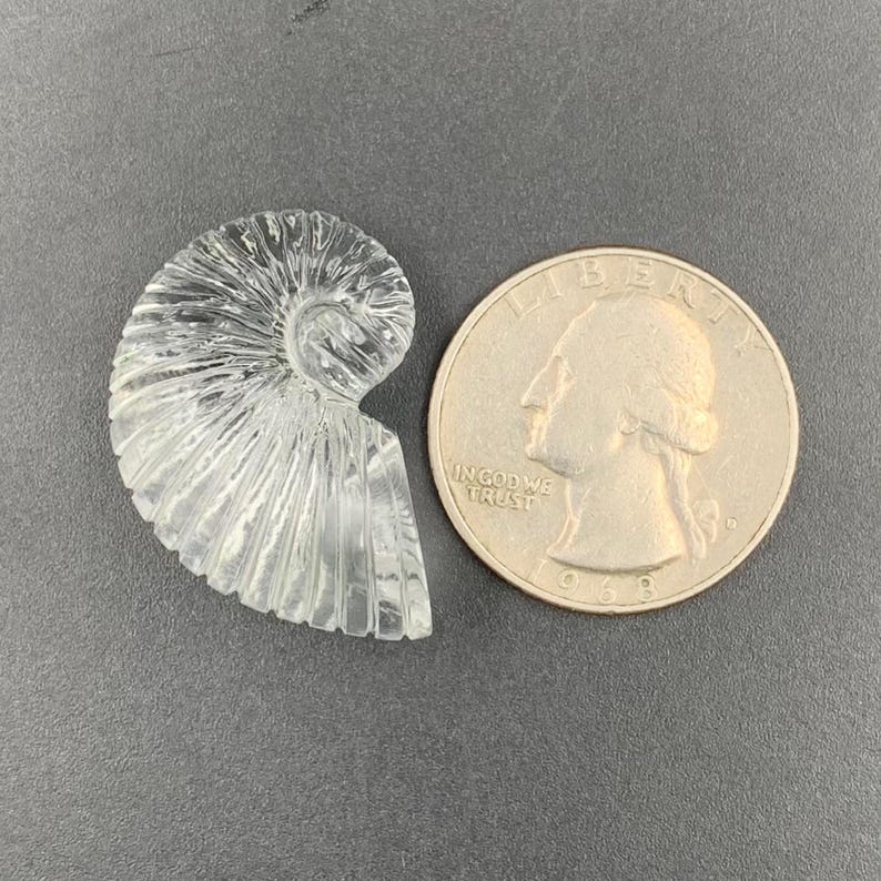 Puede incluir: Un f&oacute;sil de amonita de cristal tallado y transparente junto a una moneda de veinticinco centavos estadounidense. El f&oacute;sil tiene forma de espiral con crestas detalladas. La moneda muestra el perfil de George Washington y las palabras "In God We Trust".