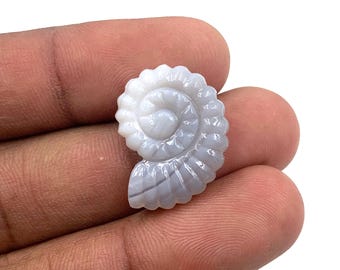 Laguna Agate Sea Shell Carving: Natural Gemstone for Jewelry (21x16x6mm)