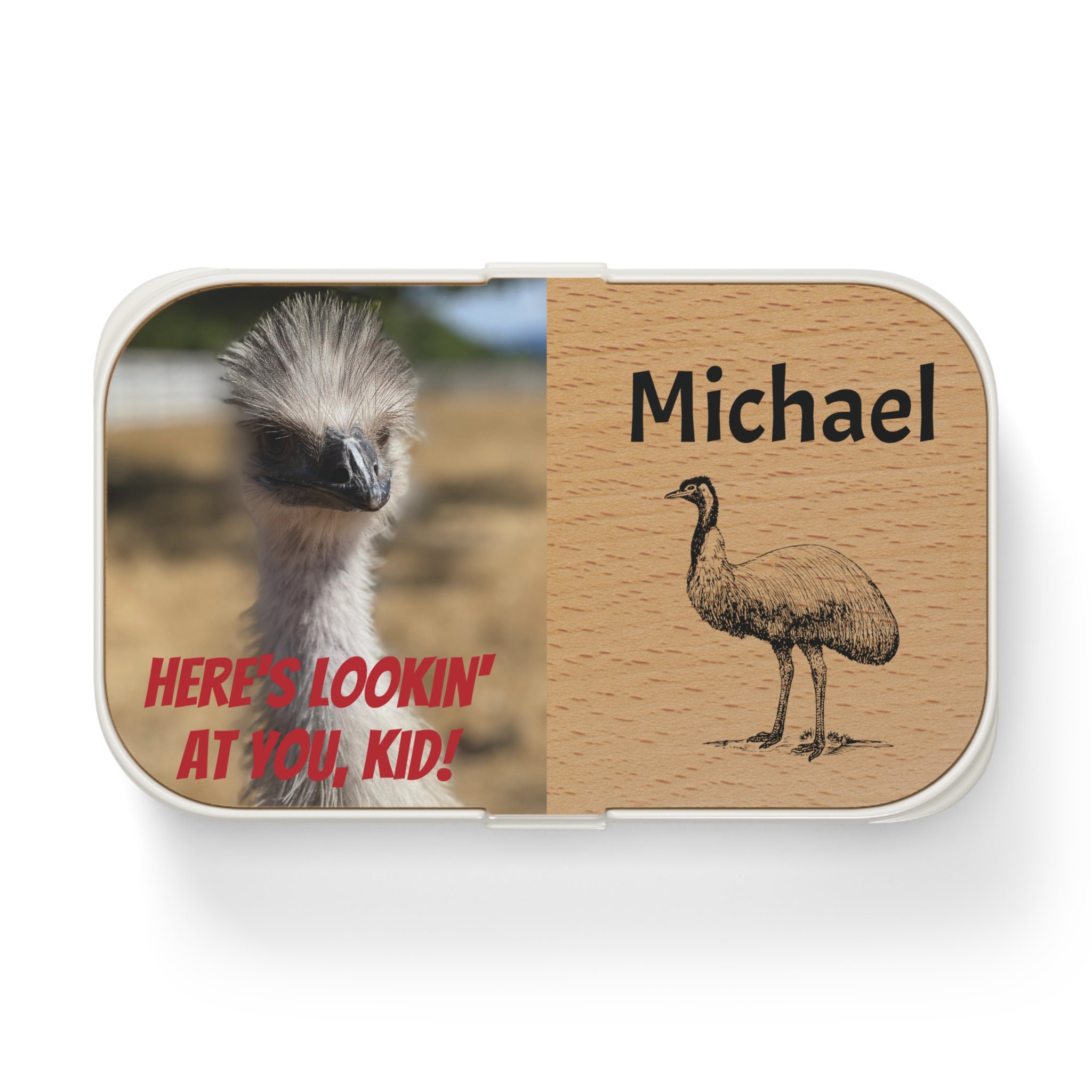 Personalized Kids Lunch Bag, Dinosaur Lunch Box, Unique Gift For Kids