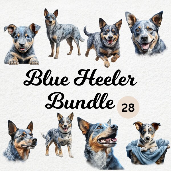 Blue Heeler - Etsy