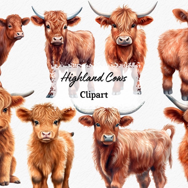 Highland Cows PNG, Highland Cow Baby, Baby Shower, Baby Animals, Highland Cow, Clip art Bundle, Cow PNG Clipart, Watercolor Clipart