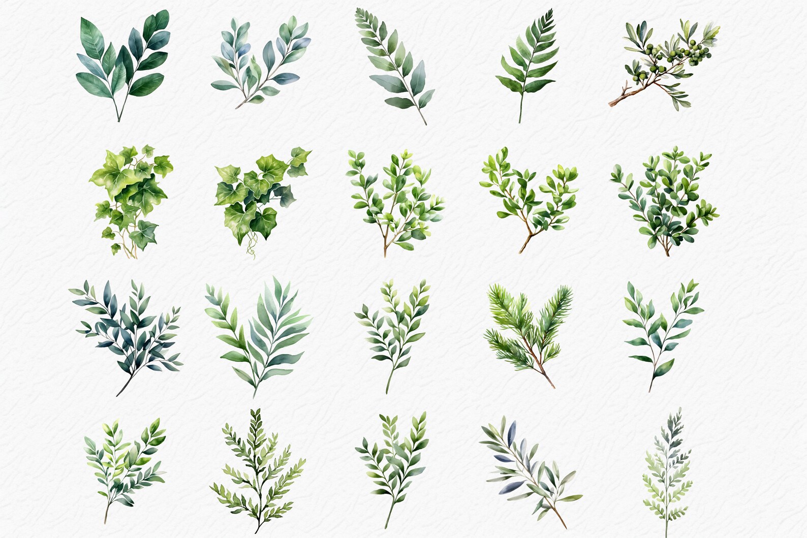 Greenery Watercolor Clipart, Leaves Branches Clipart, Wedding Clipart ...