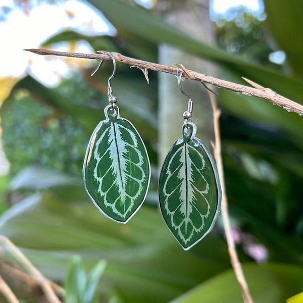 Calathea “Medallion” Dangle // Minimalist Plant Lover Jewelry // Realistic Botanical Leaf Earrings