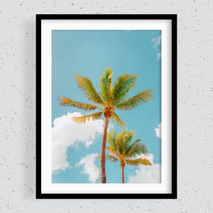 Palme a Deerfield Beach - Stampa fotografica, decorazione murale, decorazione per la stanza, stampa artistica, fotografia originale dalla Florida, Stati Uniti