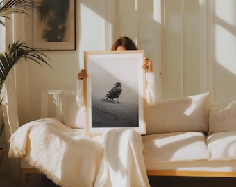 Framed Crow in Utah Desert Black and White | Bird Wildlife Photography Print