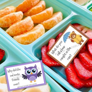 K&ouml;nnte beinhalten: Eine hellblaue Lunchbox mit F&auml;chern, die Orangensegmente, geschnittene Erdbeeren und eine Banane enth&auml;lt. Zwei Witzkarten sind enthalten. Eine Karte hat eine lila Eulen-Grafik und die andere eine B&auml;ren-Grafik.