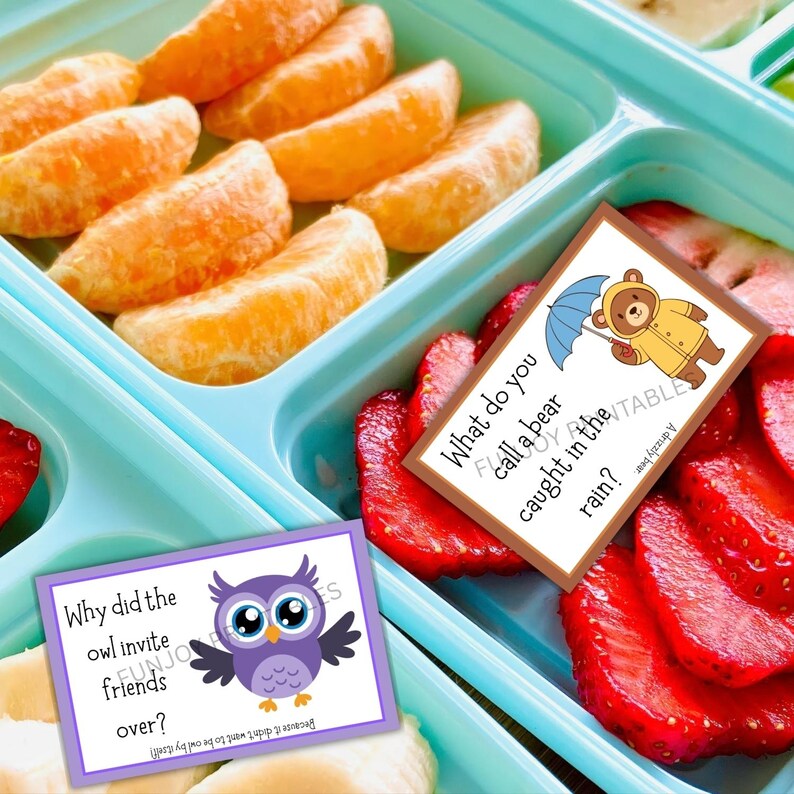 K&ouml;nnte beinhalten: Eine hellblaue Lunchbox mit F&auml;chern, die Orangensegmente, geschnittene Erdbeeren und eine Banane enth&auml;lt. Zwei Witzkarten sind enthalten. Eine Karte hat eine lila Eulen-Grafik und die andere eine B&auml;ren-Grafik.