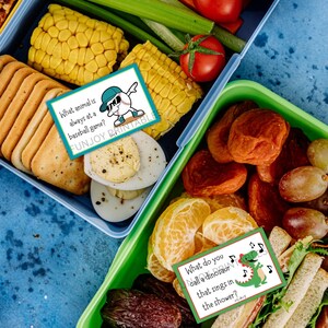 K&ouml;nnte beinhalten: Zwei Lunchboxen mit Lebensmitteln wie Maiskolben, Crackern und Obst. Jede Box enth&auml;lt eine Karte mit einem R&auml;tsel. Eine Karte fragt: &bdquo;Welches Tier ist immer bei einem Baseballspiel dabei?&ldquo; Die andere fragt: &bdquo;Wie nennt man einen Dinosaurier, der unter der Dusche singt?&ldquo;